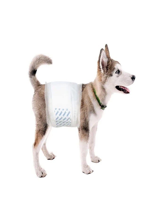 Dono Pet Male Marking Urinary Incontinence Excitable Urination Male Dog Diaper (XS) - Image 3